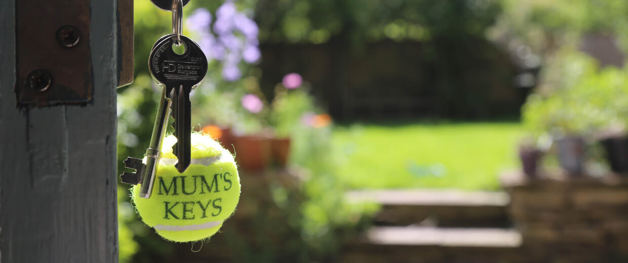 Tennis Ball Accessories Tennis Ball Accessories