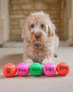 Price Dog Themed Tennis Ball Printed Loose, Dog Themed Slogans and Prints on Tennis Balls
