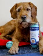 Personalised Coloured Dog Tennis Balls