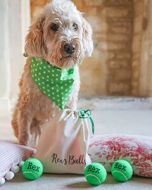 Green Personalised Dog Balls with Personalised Gift Bag and Matching Bandana Option