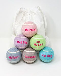 Fun Message Dog Tennis Balls with a Bag