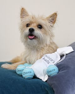 balls for small dogs 