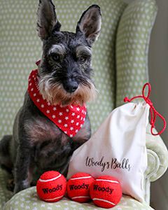 Limited Edition Red Personalised Dog Balls with Personalised Gift Bag and Matching Bandana Option
