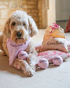 Pale Pink Personalised Dog Balls with Personalised Gift Bag and Matching Bandana Option