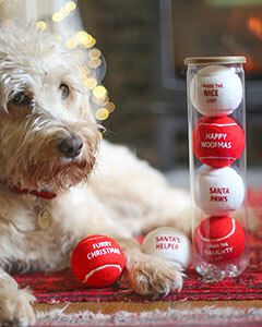 NEW Christmassy Dog Balls, Christmas Themed Dog Balls, Sustainable Dog Balls