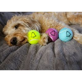 beeping ball for blind dog